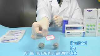 Test d'oeufs fluorés